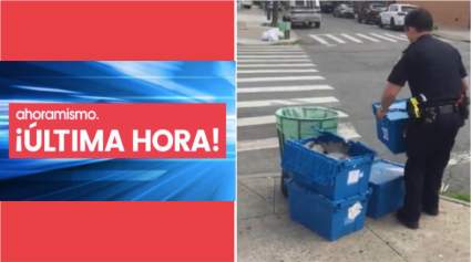 [VIDEO] Policía de Nueva York dice que “saqueadores organizados” están colocando piedras y ladrillos por la ciudad