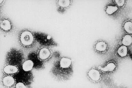 COVID-19: Estudio revela que virus se reduce por la humedad en espacios interiores