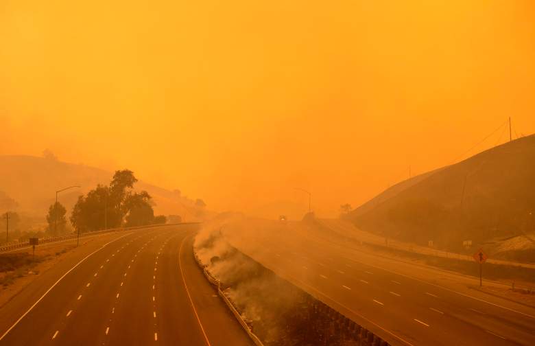 ¿Cómo ayudar a prevenir los incendios forestales?