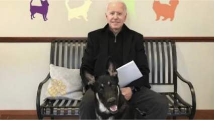 Joe Biden se accidenta. ¿Cómo sigue el presidente electo?