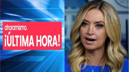 [VIDEO] Fox News interrumpe la conferencia de prensa de Kayleigh McEnany por afirmaciones falsas