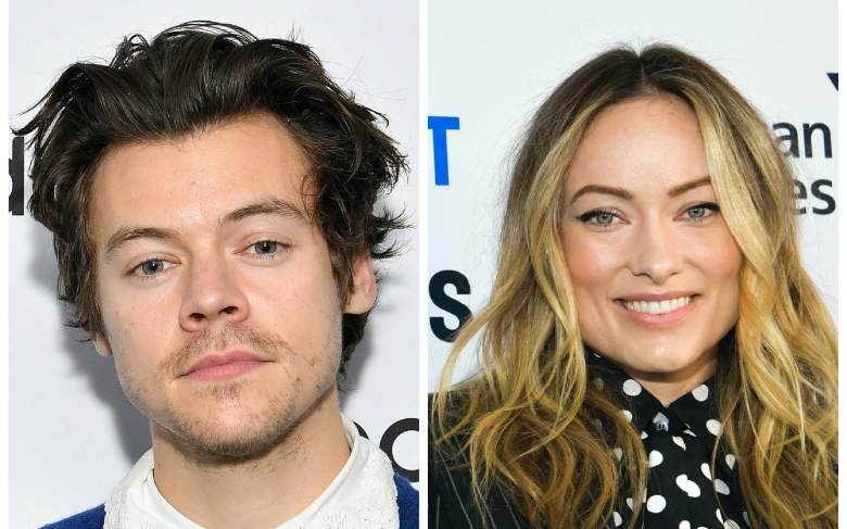 ¿Olivia Wilde y Harry Styles son novios?