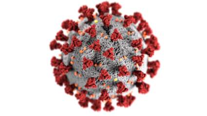 Coronavirus: Muertes e infectados de COVID-19 del 10 de enero