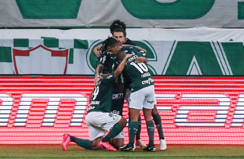 Brasileirao Series A: Palmeiras v Vasco da Gama