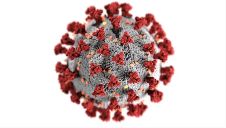 Coronavirus