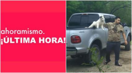 Arrestan a Sebastián Acosta: Torturó y mató a dos perros -Video