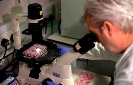Alertan sobre un nuevo brote de infección en EE.UU.: ¿De qué se trata?