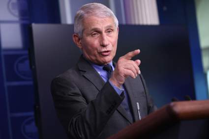 Fauci confirma que vacunas Pfizer y Moderna son efectivas ante variante india