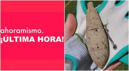 Mujer de Missouri halla bomba de guerra en su jardín: [Fotos]