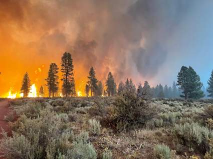 Incendio Bootleg arrasa al oeste de EE.UU: ¿Qué dato alarma a todo Oregon? [VIDEOS]