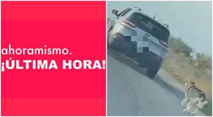 Hombre detenido tras abandonar a su perro en carretera de Texas: Luis Campos – Video