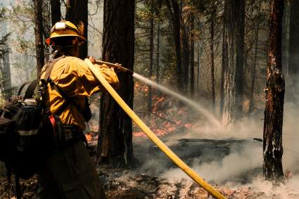 California: impactantes imágenes del incendio forestal en Greenville