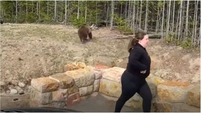 Samantha Dehring fue arrestada por acercarse demasiado a un oso en Yellowstone.