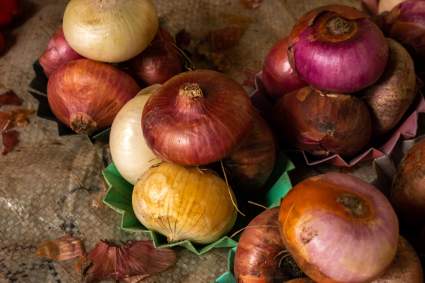 Brote de Salmonela en EEUU: 37 estados retiran cebollas importadas: ¿De dónde provienen?