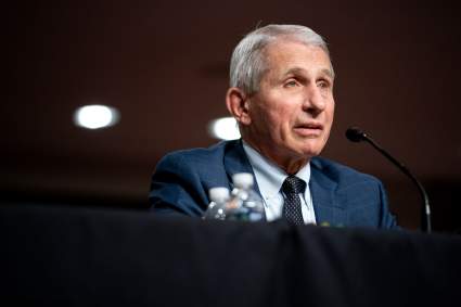 Anthony Fauci pronosticó cuándo será el fin de la pandemia ¿Será con la variante Ómicron?