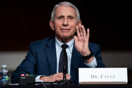 COVID-19: Fauci dijo cuándo terminarán las restricciones de la pandemia
