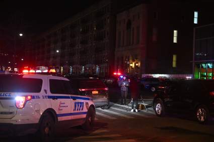 Perrito callejero víctima de bala pérdida en Nueva York: Le amputarán una pierna