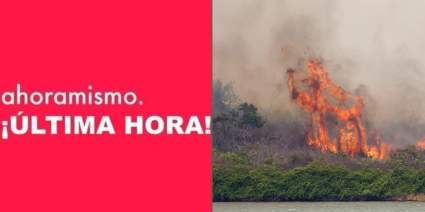 Incendios forestales afectan Florida y obligan a evacuar a residentes – Videos