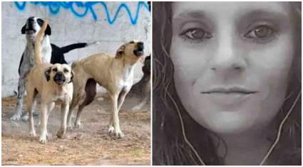 Carolina del Sur: Mujer atacada por 3 perros sufre amputación de brazos: Kyleen Waltman