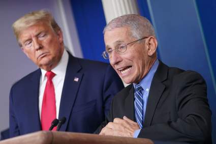 Dr. Fauci advierte a Donald Trump: ¿Volvería a trabajar con el expresidente?