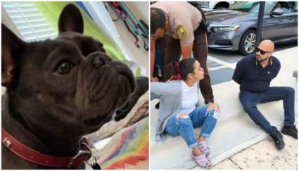 Miami: Detienen a pareja de latinos por robar una perra y chantajear a la dueña