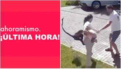 Mono ataca brutalmente a refugiada ucraniana de 2 años – IMÁGENES SENSIBLES