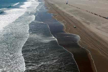Chile: Temor por la aparición de un pez que predice catástrofes naturales
