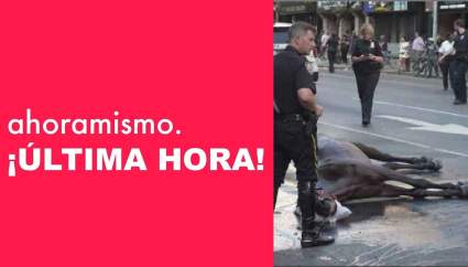 Indignación por maltrato de dueño a un caballo en Central Park tras colapsar: [VIDEO]