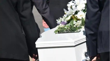 Las contundentes palabras del hijo de Anne Heche tras su muerte: ¿qué dijo?