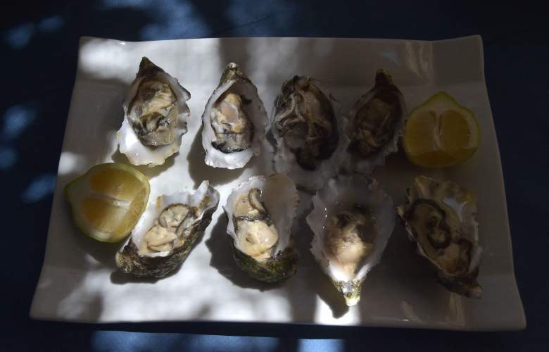 Las ostras frescas listas para comer se muestran en una granja ubicada en las marismas del parque natural Bahía de Cádiz en San Fernando de Cádiz, el 30 de agosto de 2021.