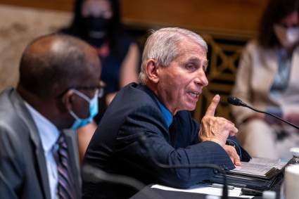 Dr. Fauci renuncia como asesor médico de la Casa Blanca: ¿Por qué razón?