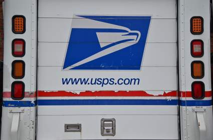 Horror en Florida: Perros salvajes mataron a empleada del correo