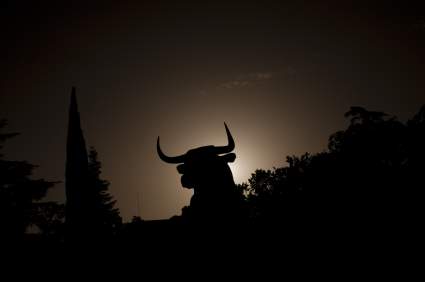 Terror en toreo de Tampa: Escapó un toro y fue hacia los espectadores – Video