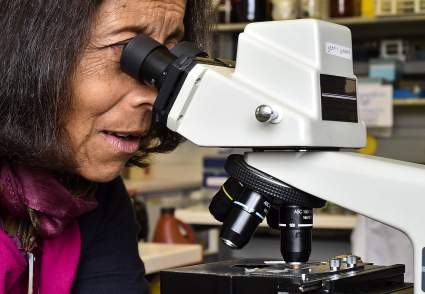 Descubren en EE.UU. una bacteria que causa otra grave enfermedad: ¿Peor que COVID?