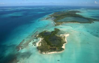 Hallan misteriosa criatura en el Mar Caribe: ¿Un objeto extraterrestre?