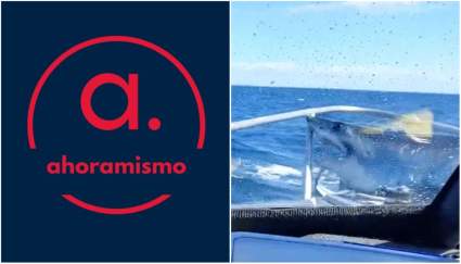 Impactante: Tiburón salta sobre barco de pescadores y se atasca en la proa – VIDEO