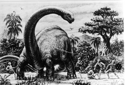 Argentina: Impactante hallazgo de huellas de dinosaurios de más de 130 millones de años
