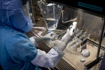 Alarma mundial por Marburgo: Qué se sabe del virus que ya causó al menos 9 muertes