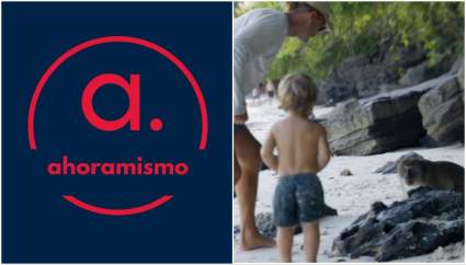 Escalofriante: Monos salvajes atacan a un niño en Tailandia – IMÁGENES SENSIBLES