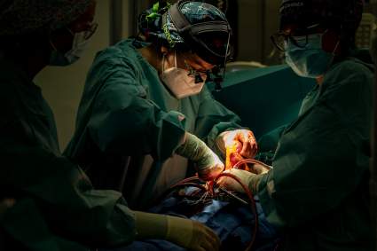 Suceso mundial: Realizan primer transplante de corazón con 20 minutos sin latidos