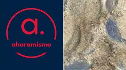 Hallan misterioso tesoro de la Antigua Roma enterrado hace 2 mil años