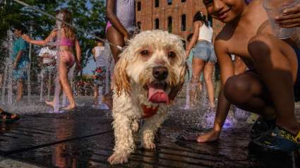 ¿Hace realmente más calor ahora que hace 100 mil años?