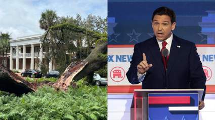 Huracán Idalia: árbol de 100 años cayó sobre la casa de Ron DeSantis