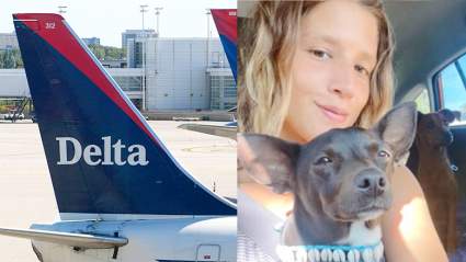 Delta ofrece $1,800 dólares a pasajera por haber perdido a su perrita