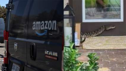 Repartidora de Amazon mordida por una serpiente venenosa