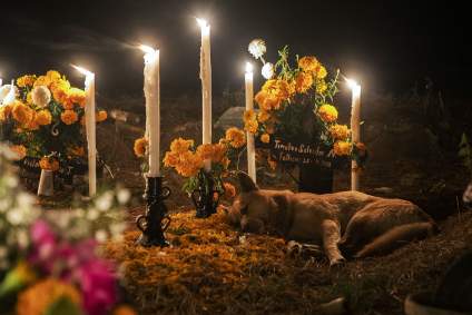 ¿Cuándo poner la ofrenda a tus mascotas en el Día de Muertos 2023?
