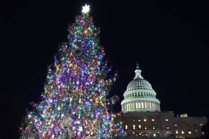 Un fuerte viento derriba el árbol de Navidad de La Casa Blanca [VIDEO]