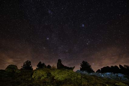 Gemínidas 2023: ¿Dónde ver mejor la lluvia de estrellas hoy?