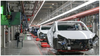 Robot de Tesla ataca con violencia a ingeniero en Texas