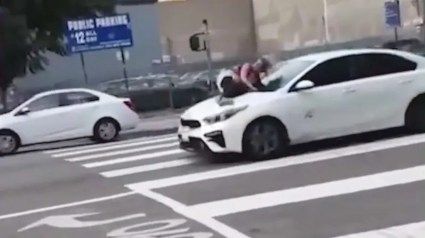 Mujer se aferra a su auto para evitar que roben a su perro en Los Ángeles
